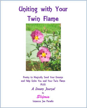 Uniting With Your Twin Flame