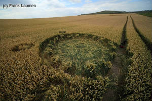 crappy crop circle