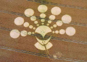 Crop circle of an alien