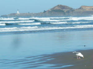 lighthouse and Seagull