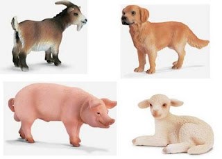 goats-dogs-pigs-sheep